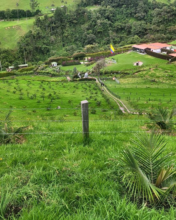Experiencia Eje Cafetero: Salento, Cocora, Filandia y termales