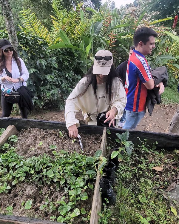 Coffee tour en Medellín: finca, cata y cosecha