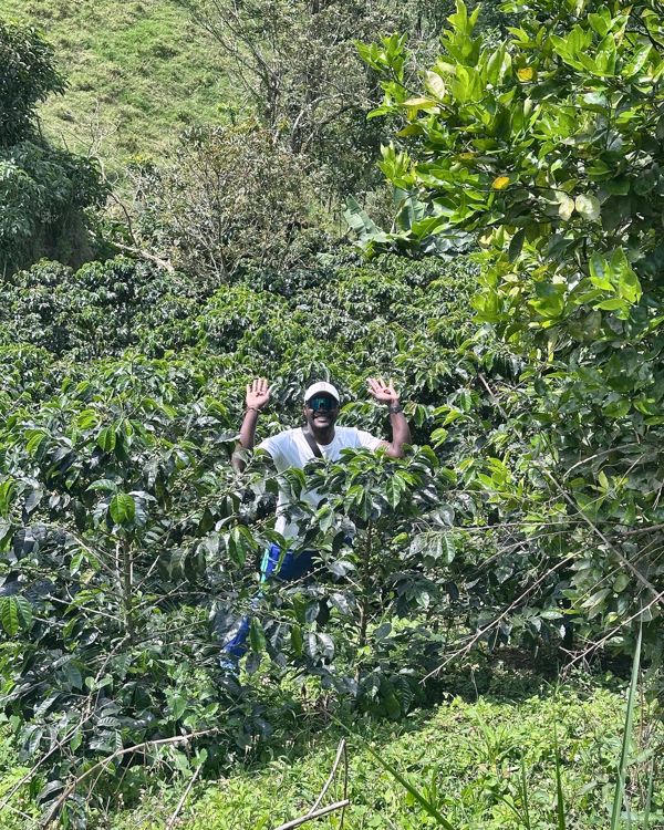 Coffee tour en Medellín: finca, cata y cosecha