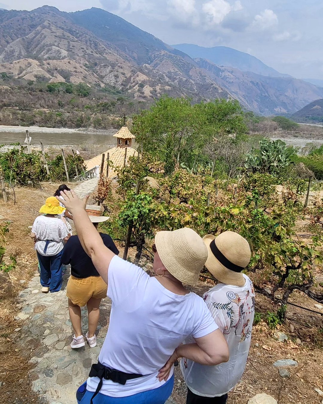 Experiencia en viñedo: un día de vino a las afueras de Medellín